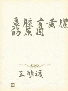 鼻腔有黄脓鼻涕的原因封面