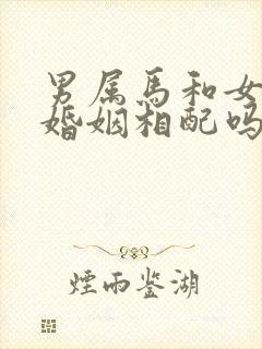 男属马和女属鼠婚姻相配吗