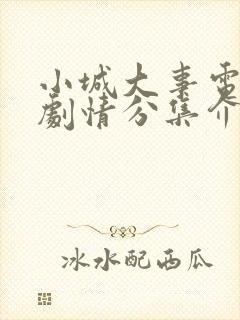 小城大事电视剧剧情分集介绍封面