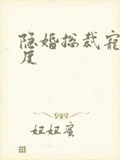 隐婚总裁宠妻无度