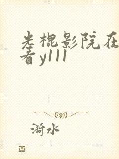 光棍影院在线观看y111封面