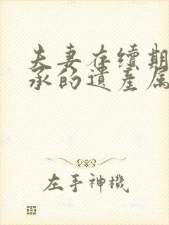 夫妻存续期间继承的遗产属于夫妻共同财产吗