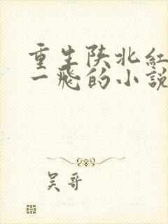 重生陕北红军赵一飞的小说封面