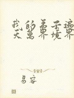 我的弟子遍布诸天万界境界划分