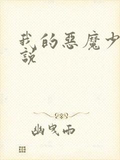 我的恶魔少爷小说封面