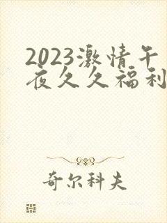 2023激情午夜久久福利视频