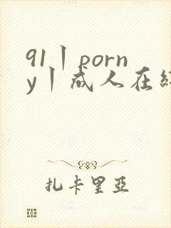 91丨porny丨成人在线观看封面