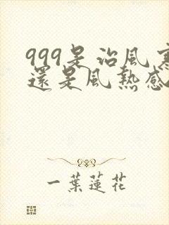 999是治风寒还是风热感冒