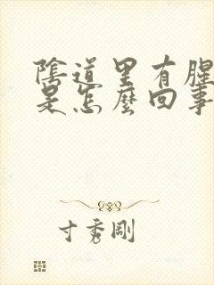 阴道里有腥臭味是怎么回事