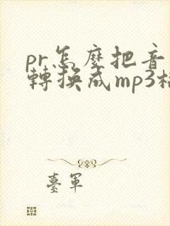 pr怎么把音频转换成mp3格式
