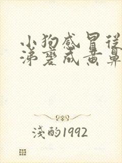 小狗感冒从清鼻涕变成黄鼻涕了