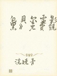 包贝尔电影《打黑》免费观看