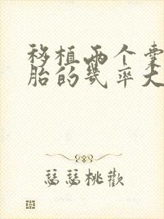 移植两个囊胚双胎的几率大吗