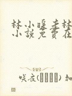 林小暖老林继父小说免费在线阅读