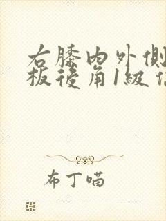 右膝内外侧半月板后角1级信号封面