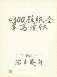 e300壁纸全屏高清4k