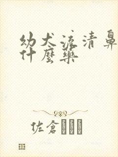 幼犬流清鼻涕吃什么药封面