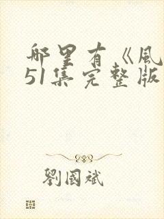 哪里有《风筝》51集完整版