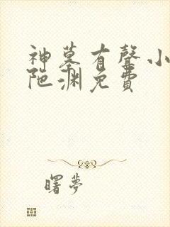 神墓有声小说头陀渊免费