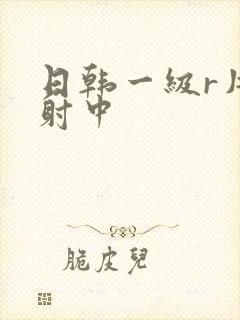 日韩一级r片内射中