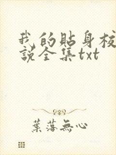 我的贴身校花小说全集txt封面