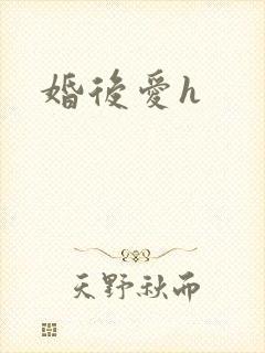 婚后爱h封面