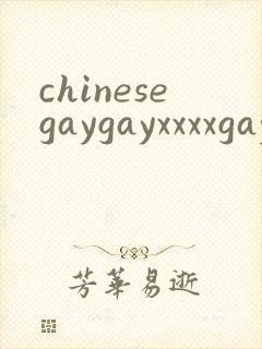 chinesegaygayxxxxgaygay