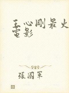 王心刚最火三部电影