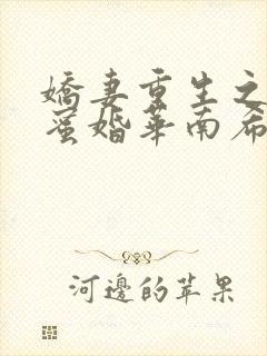 娇妻重生之甜宠蜜婚华南希