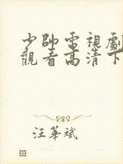 少帅电视剧免费观看高清下载