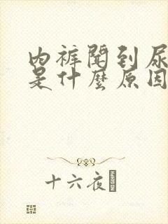 内裤闻到尿骚味是什么原因