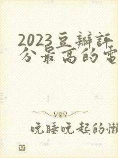 2023豆瓣评分最高的电视剧