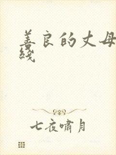 善良的丈母娘在线封面