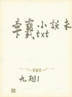 帝霸小说未删版下载txt