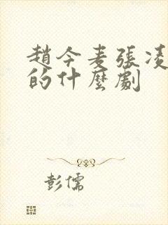 赵今麦张凌赫演的什么剧