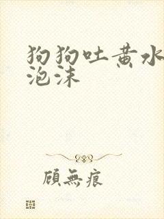 狗狗吐黄水带点泡沫