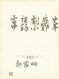 电视剧历史转折中的小邓平演员表