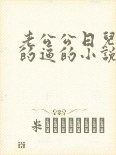 老公公日儿媳妇的逼的小说