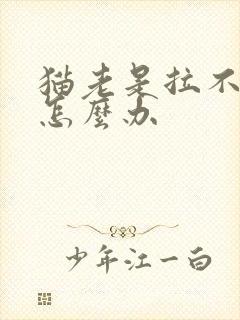 猫老是拉不出尿怎么办