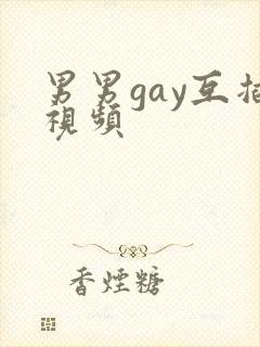 男男gay互插视频