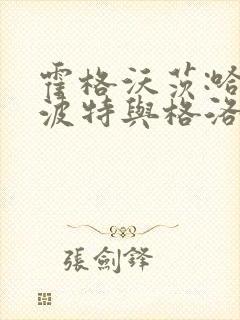 霍格沃茨:哈利波特与格洛克18