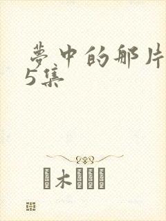 梦中的那片海35集