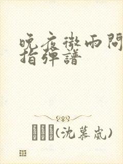 晚夜微雨问海棠指弹谱