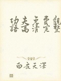 功夫免费观看国语高清完整版下载