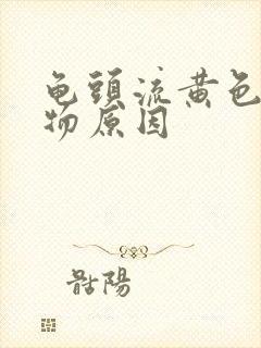 龟头流黄色分泌物原因