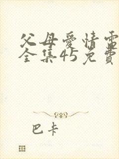 父母爱情电视剧全集45免费观看封面