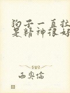 狗子一直拉稀但是精神很好怎么回事封面