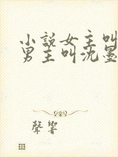 小说女主叫苏桃男主叫沈墨尘