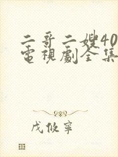 二哥二嫂40集电视剧全集高清