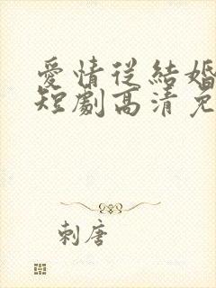 爱情从结婚开始短剧高清免费播放